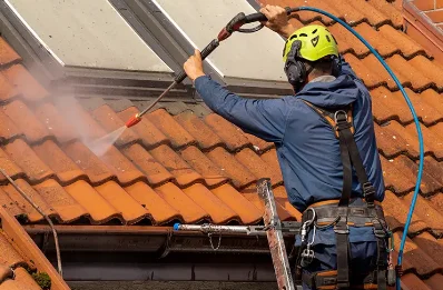 Démoussage et hydrofuge de toiture à Pouydesseaux